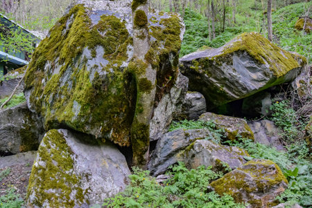 Picturesque stones in the moss in the Resort arch of Borjomi. Georgia 2019. Mineral water. forest in the park.の写真素材