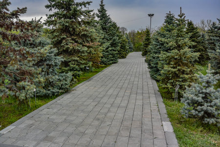 Tsitsernakaberd alley-Armenian genocide memorial complex is an official monument to the victims of the Armenian Genocide in Yerevan, May 2, 2019, Armeniaの写真素材
