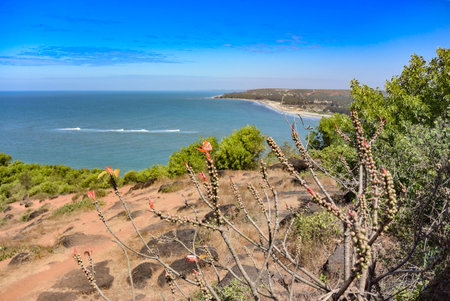 Panoramic view of beautiful blue Arabian Sea and a lush adjacent hill from the top of Chapora Fort, Goa Indiaの写真素材