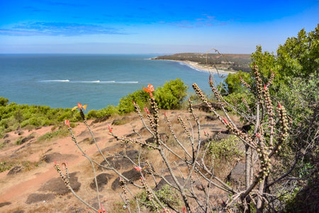 Panoramic view of beautiful blue Arabian Sea and a lush adjacent hill from the top of Chapora Fort, Goa Indiaの写真素材