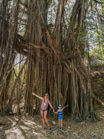 A girl with a child near a large banyan tree or an Indian ficus in Goa in India. A beautiful huge banyan tree in the Indian jungle near Arambol beach.の写真素材