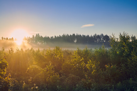 Summer colorful sunrise over the meadow with fog and dew on the grass. Meadow lush grass in morning sun light. country landscape.の写真素材