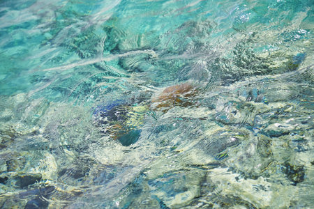 Crystal turquoise water of the Red sea. Background of the Red Sea water surface. Top down view of the vivid fish under the crystal clear water surface of the sea. Waves on the azure surface of the Red Seaの写真素材