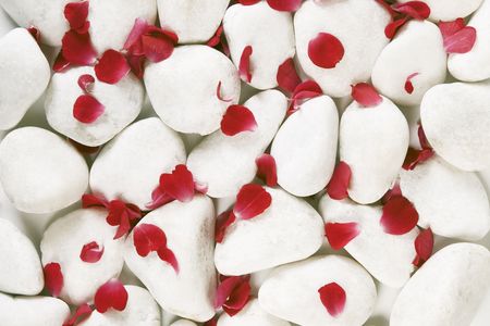 red rose petals on white pebbles backgroundの写真素材