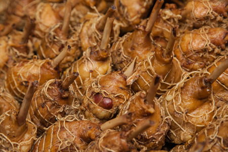 Braised Lamb Chops ready to be servedの写真素材