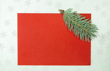 chritmas card with fir on silver snowflakes backgroundの写真素材