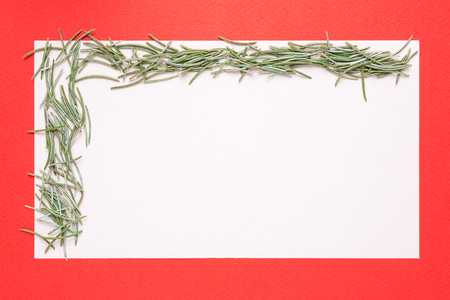 Blank Christmas card or invitation with fir on red backgroundの写真素材