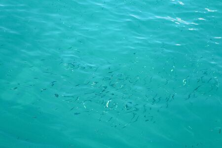 Blue sea with fish near the port of Giardini Naxos