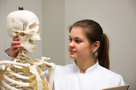 young female doctor works in laboratory with skeletonの写真素材