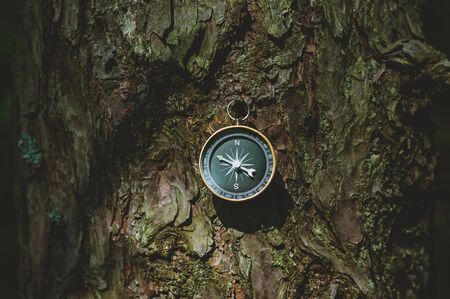 Compass in the forest, against the background of the bark of the tree.の写真素材