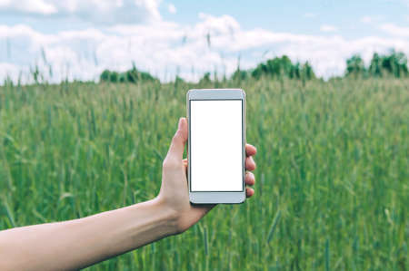 Mock up of a smartphone in the hand of a girl, against a background of a green field.