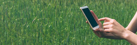 Banner, Smartphone in the hands of a girl, against the background of a green field.の写真素材