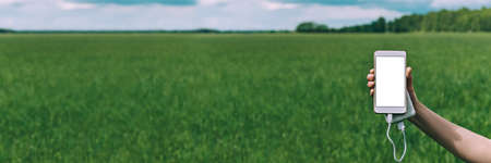 mock-up of a smartphone in the hand of a girl with a charge from a power bank. against the background of a green fieldの写真素材