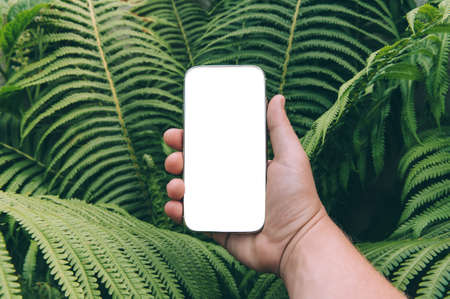 Close up, mock up smartphone in hand. Against the backdrop of greeneryの写真素材