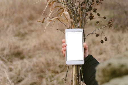 Smartphone mockup. Against the background of dry autumn grassの写真素材