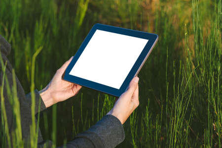 A girl in a gray sweater holds a tablet mockup in her hands. against the backdrop of beautiful...