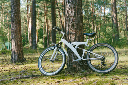 A white mountain bike is parked in the forest near a tree. Against the backdrop of nature
