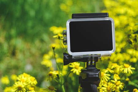 Close up action camera. Against the background of a yellow chamomile in the garden