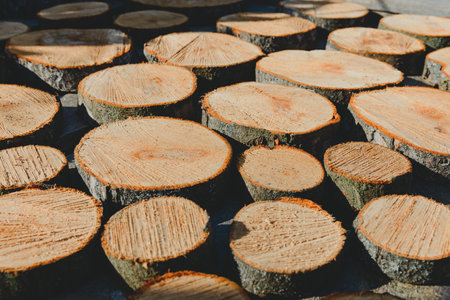 Close-up cross-section of tree rings and background textures surrounded by pine logs.の写真素材