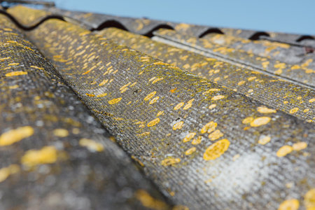 Close-up. Old slate roofing sheets. Asbestos-cement surfaces made of corrugated slate sheets. Gray texture of wavy weathered abandoned asbestos roof background. Roofing materials are hazardous to health.の写真素材