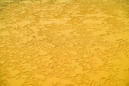 Close-up, the texture of the facade of decorative yellow plasterの写真素材