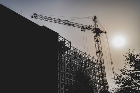Silhouette of a construction crane on a construction site with metal structures and an industrial...