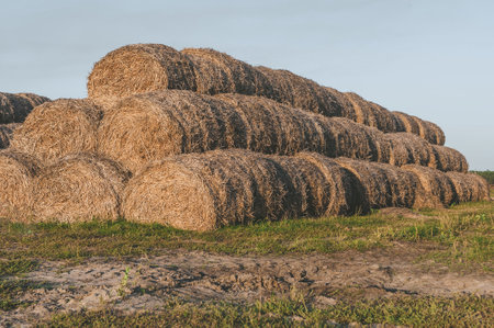 big haystacks stacked on top of each other in the shape of a pyramid in a fieldの写真素材