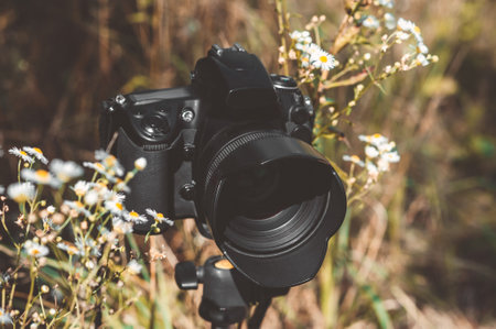 Close-up A professional photo-video camera stands on a tripod. Background of beautiful daisies...