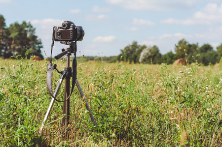 The camera stands in the field on a tripod. Background of trees and skyの写真素材