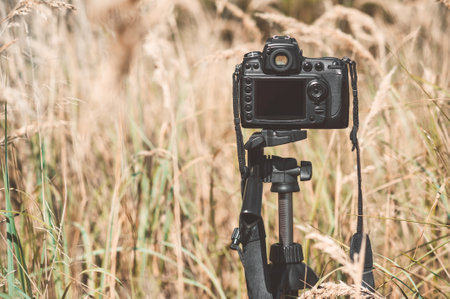 Professional photo-video camera on a tripod. Background of dry golden grass