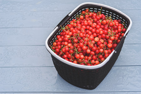 Basket with red cherries on a wet gray table