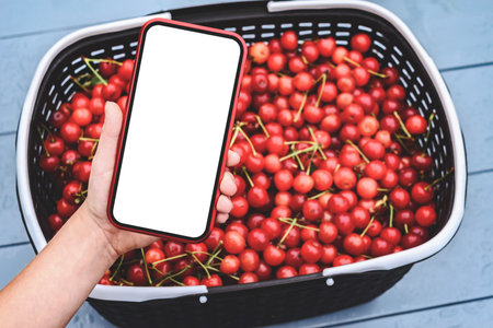 Close-up of a smartphone mockup in a child's hand on a background of red cherriesの写真素材