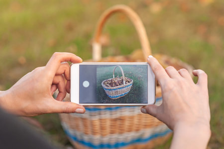 Hands hold a smartphone taking a photo of a woven basket filled with wild mushrooms, set against a blurred green outdoor background, ideal for foraging, nature photography, or hobby themes.の写真素材