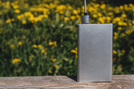 Metallic power bank charging via braided cable on a wooden surface, set against a blurred field of...