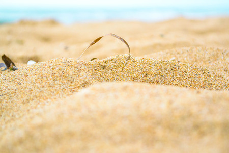 closeup of sand pattern of a beach in the summerの写真素材