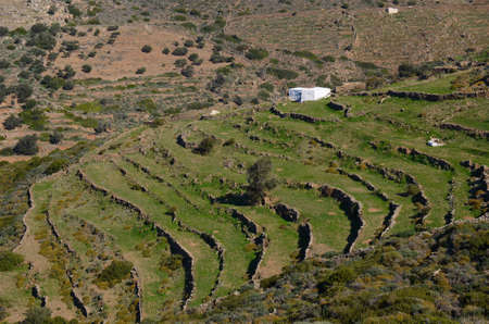 cultivated fields in the Cyclades islands of Greece on the shores of the Mediterranean Seaの写真素材