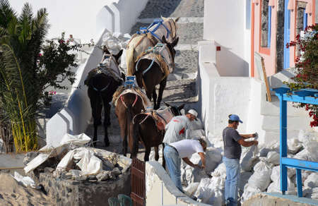 garbage collection with donkeys in the villages of the cyclades of Greece in the Mediterraneanのeditorial素材