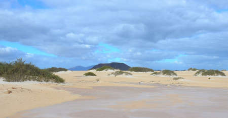 Volcanic landscapes of Lanzarote, one of the 7 islands of the Canary Islands, Spainの写真素材