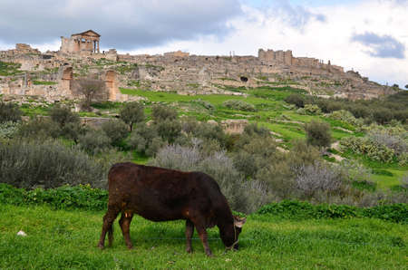 Remains and ruins of the ancient roman city of dougga in tunisiaの写真素材