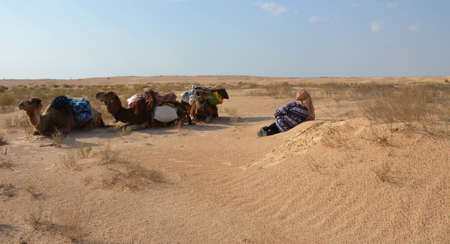Route through the sahara desert in Douz, Tunisiaの写真素材