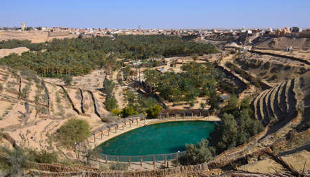 views of the oasis of nefta with the city of tozeur in the backgroundの写真素材