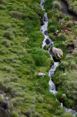 Stream in a green meadow. Lauca National Park. Arica y Parinacota Region. Chile.の写真素材
