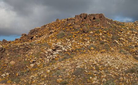 Stony hill in the municipality of La Oliva.の写真素材