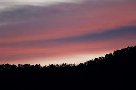 Forest at sunset in the Pyrenees of Huesca.の写真素材