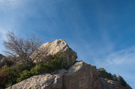 Rocks and tree in the Guara mountains.の写真素材