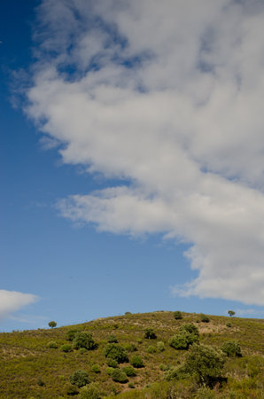 Landscape in the Monfrague National Park. Caceres. Extremadura. Spain.の写真素材