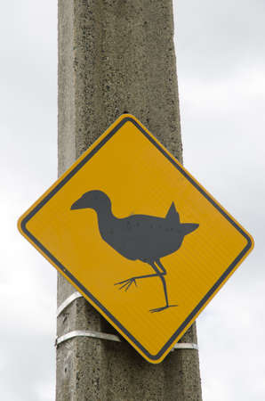Caution signal by the pukeko Porphyrio melanotus presence. Kaikorai Lagoon. Otago. South Island. New Zealand.の写真素材