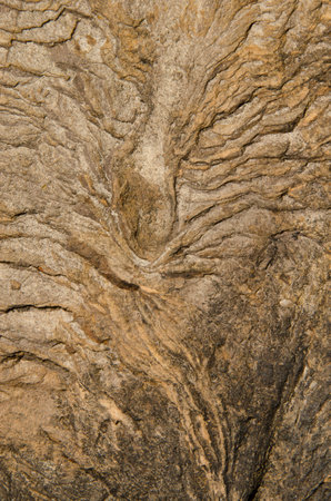 Cracks and marks on a rock. Integral Natural Reserve of Inagua. Gran Canaria. Canary Islands. Spain.の写真素材