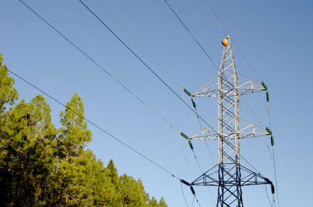 Electrical tower in the forest. Tenerife. Canary Islands. Spain.の写真素材