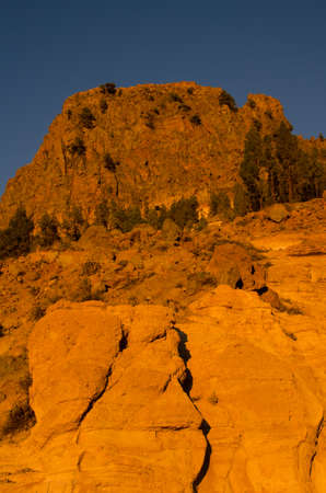 Rocky cliff and Canary island pines Pinus canariensis. Vilaflor. Tenerife. Canary Islands. Spain.